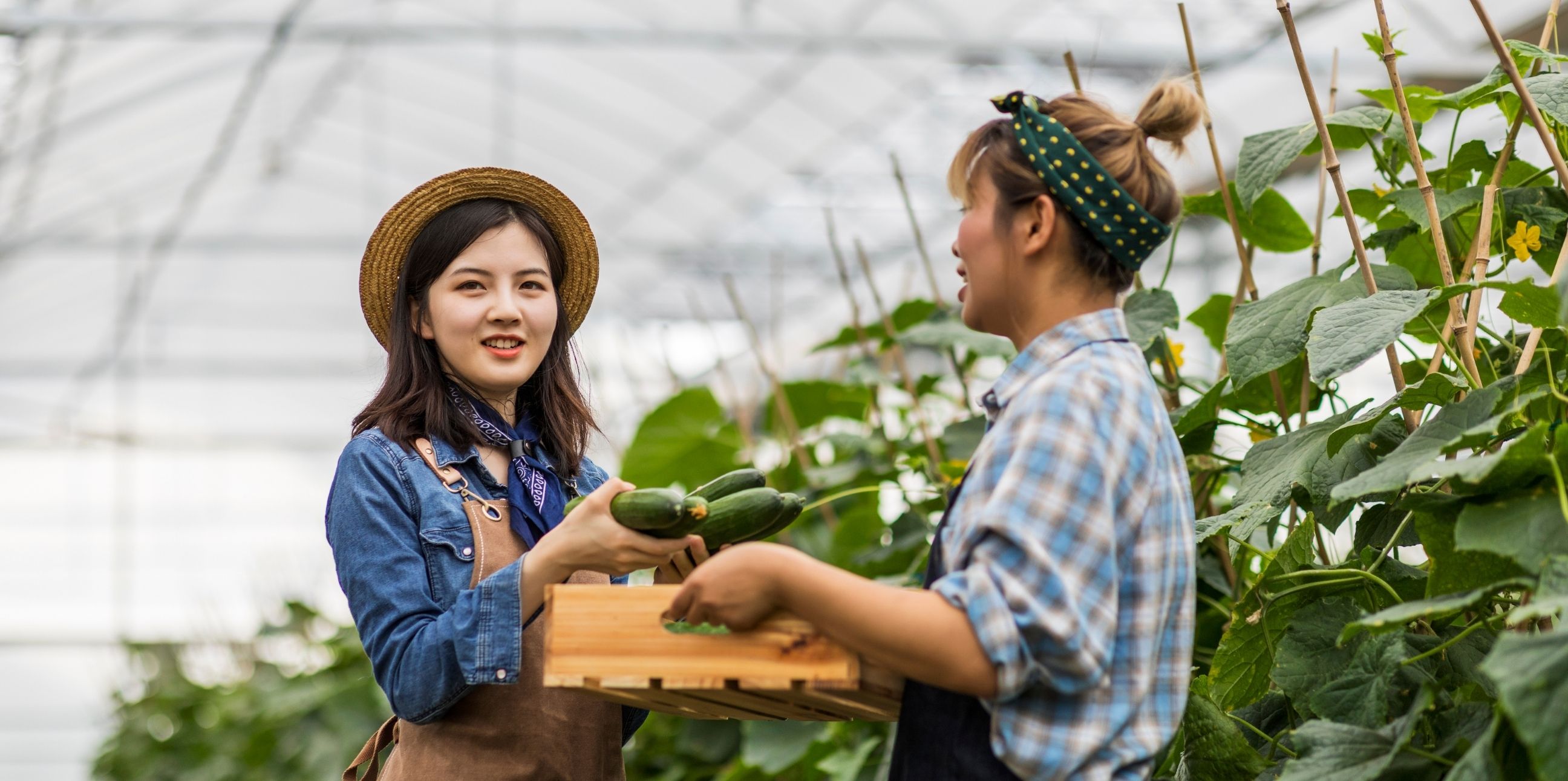 Equitable and Resilient Food Systems: An Effective Solution to Address ...